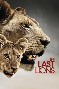 Bầy Sư Tử Cuối Cùng - The Last Lions